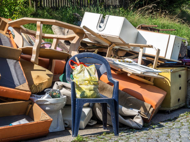 Yard Cleanup Services in Dry Run, OH