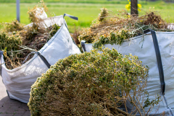 Best Affordable Junk Removal Services  in Dry Run, OH