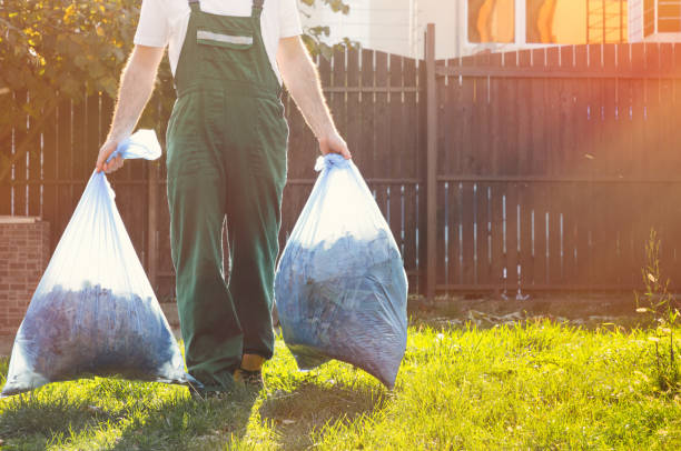Best Junk Hauling Services  in Dry Run, OH